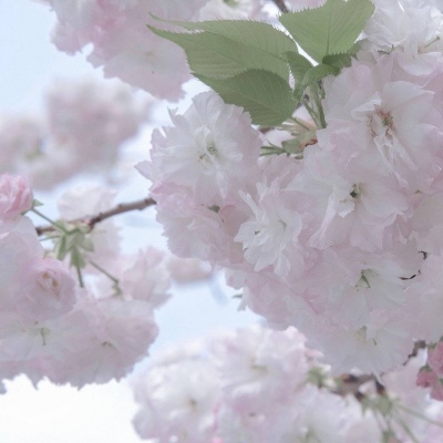 辽源FurryQQ群介绍